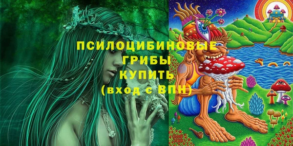 соль ск Каменка