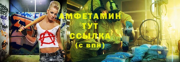 соль ск Каменка