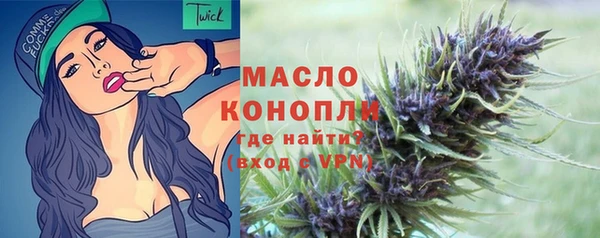 соль ск Каменка