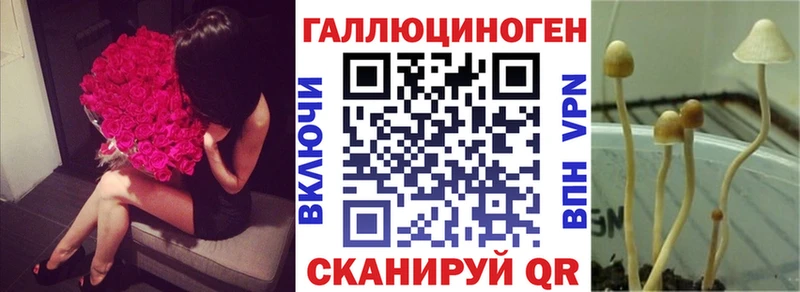 Купить закладки  Зарайск  Галлюциногенные грибы Magic Shrooms 